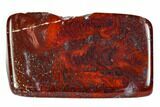 Polished Stromatolite (Collenia) - Minnesota #104417-1